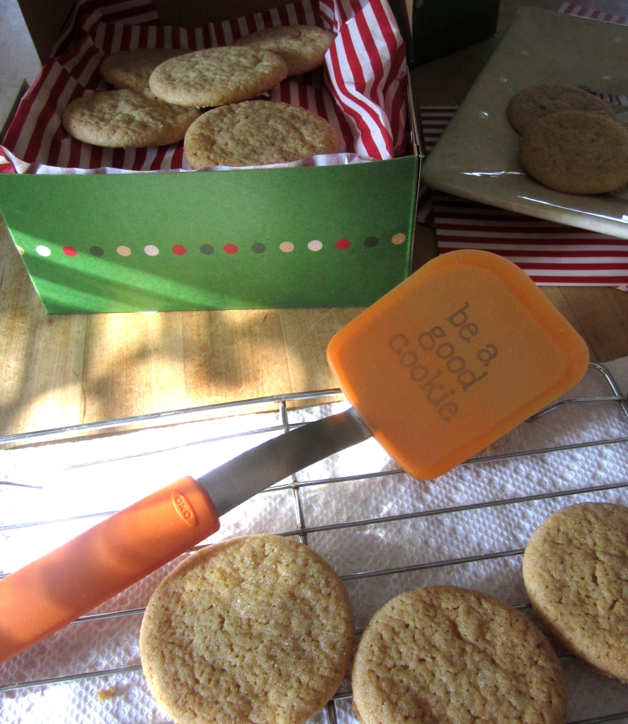 How lucky am I - OXO sent me an orange cookie spatula!