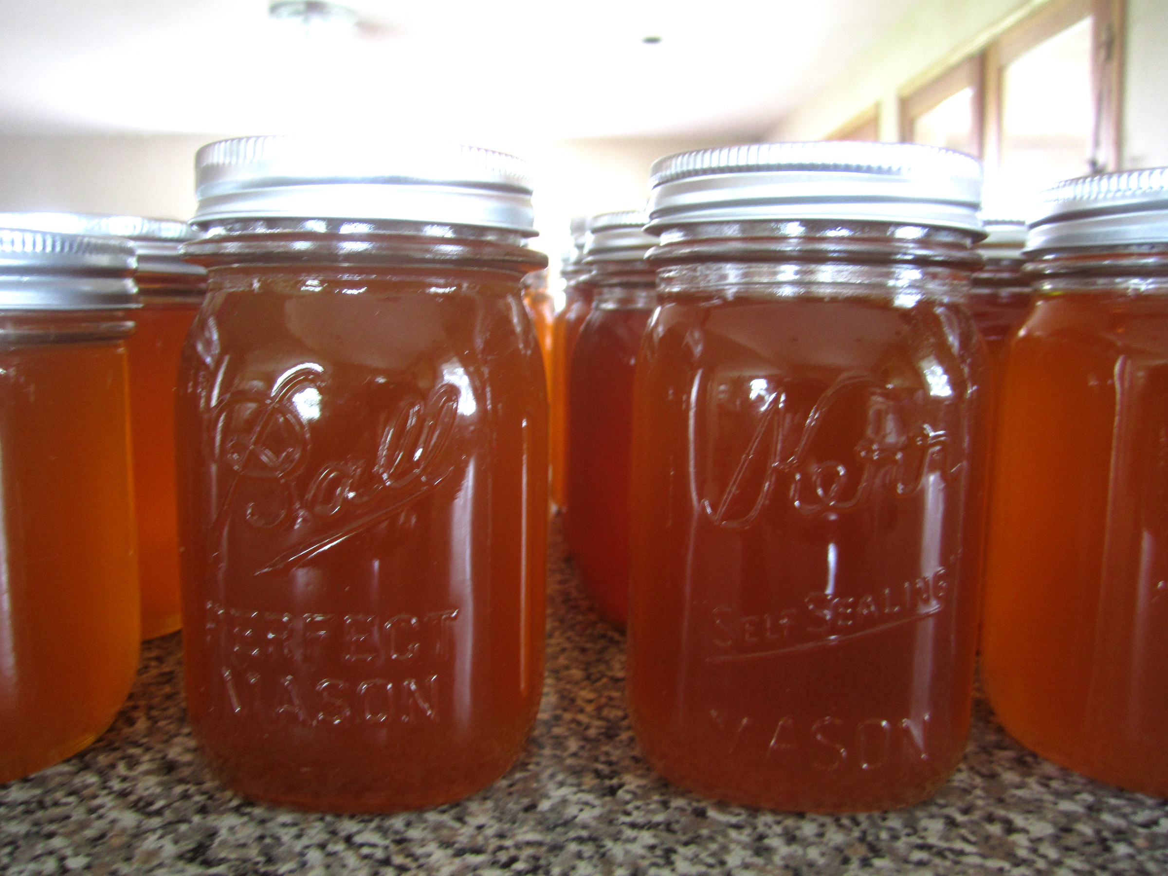The first jars full of 2013 honey.