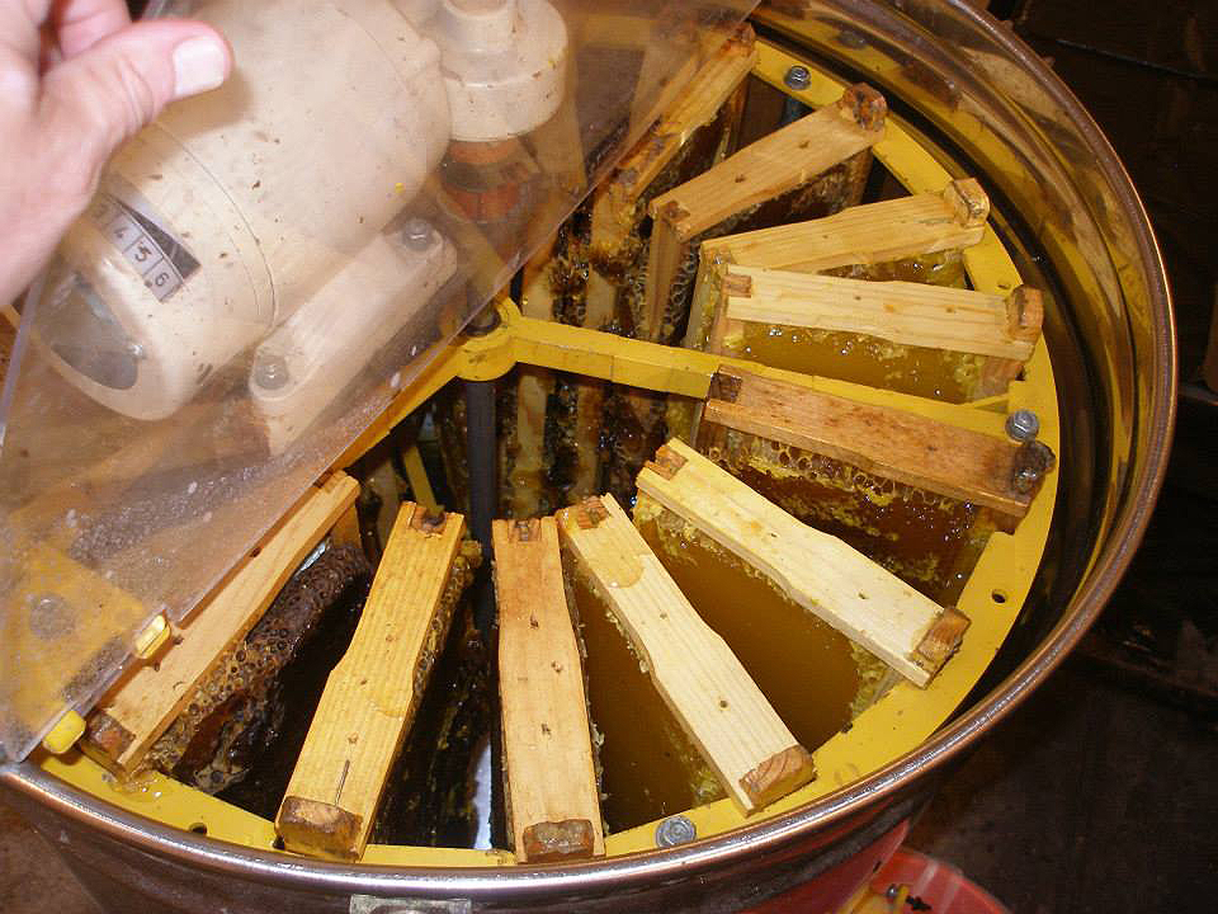 The extractor filled with supers full of honey ready to spin.