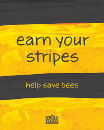 2-earn_your_stripes-sm